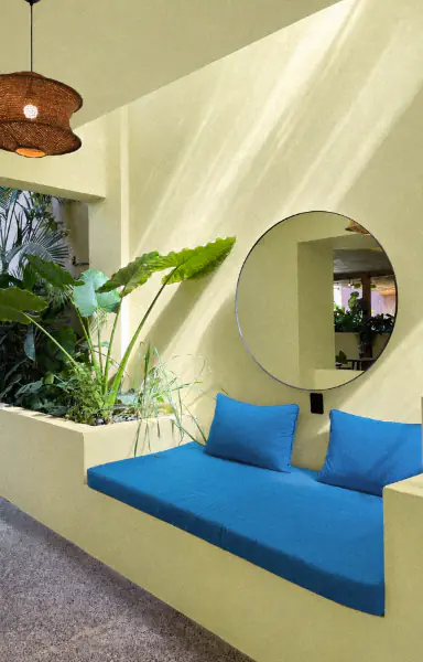 Lime lounge nook with plants and blue cushions