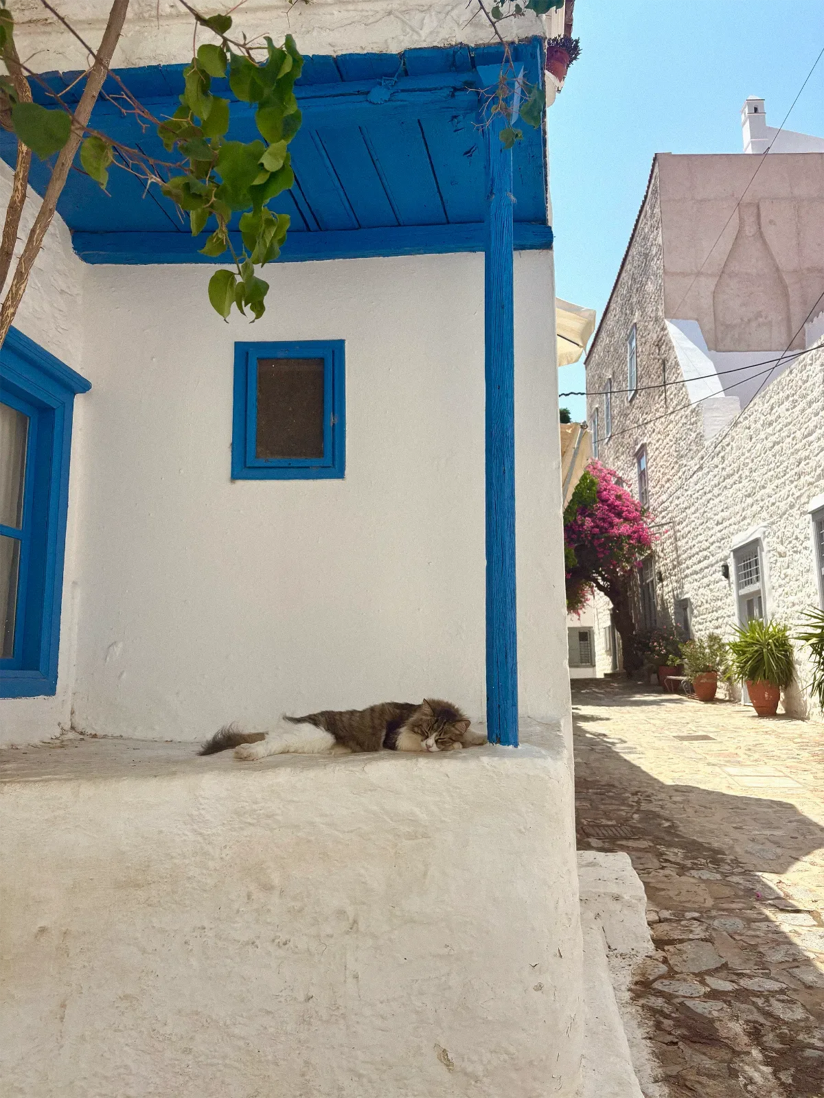 Cat asleep on a whitewashed ledge in a blue-trimmed Greek island alley