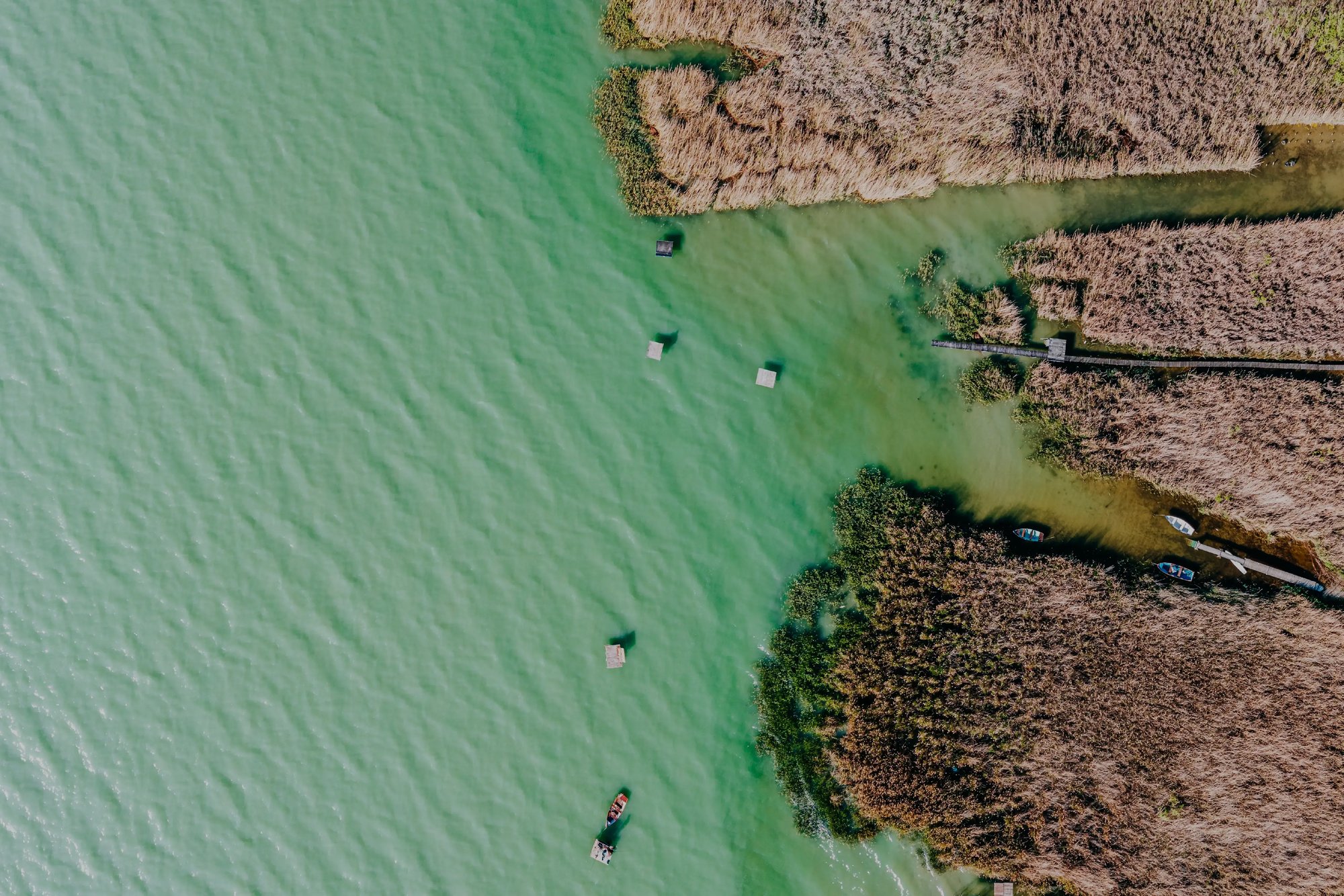 balaton_pr balaton_pr