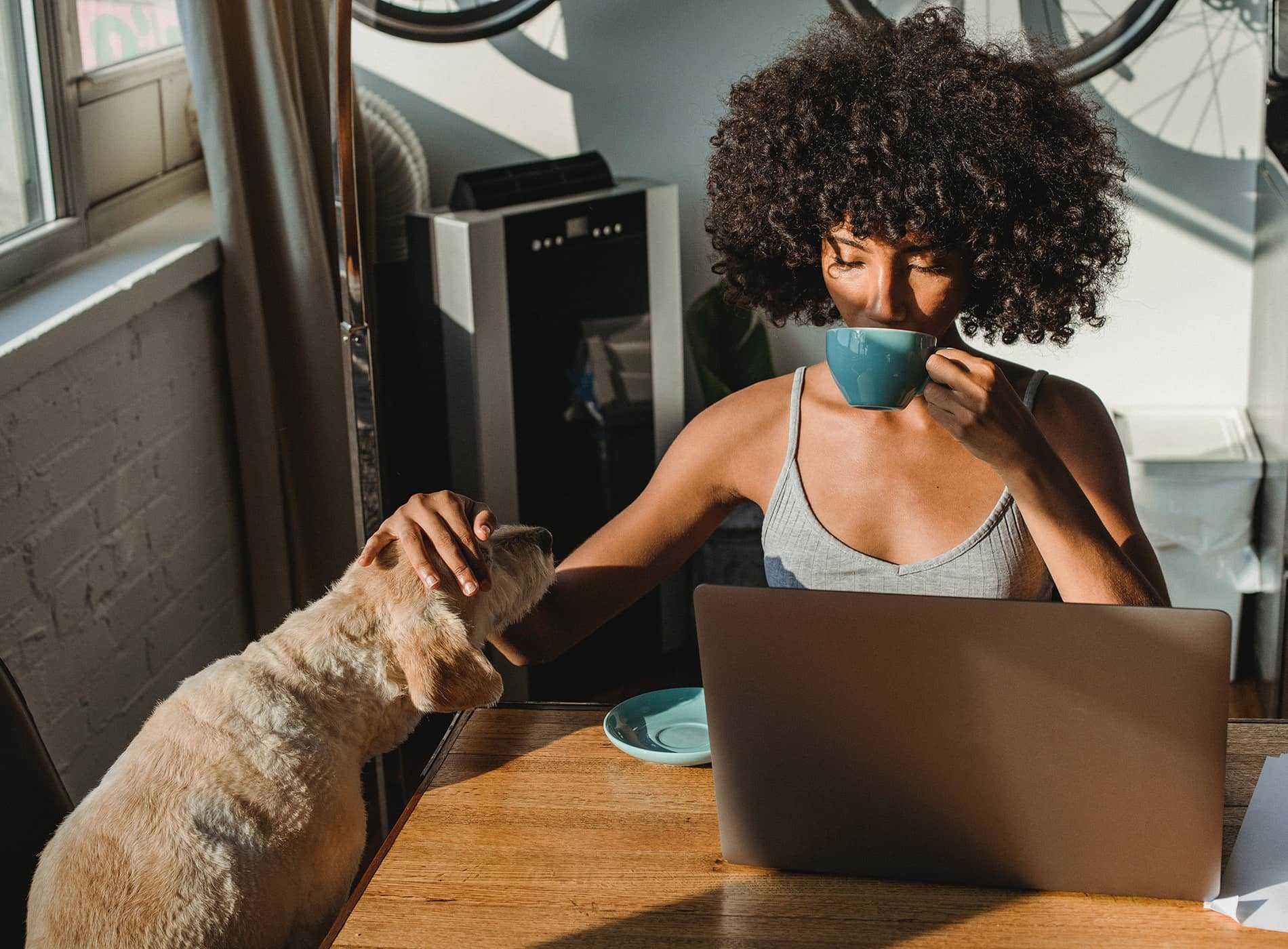 woman-dog-laptop-flow