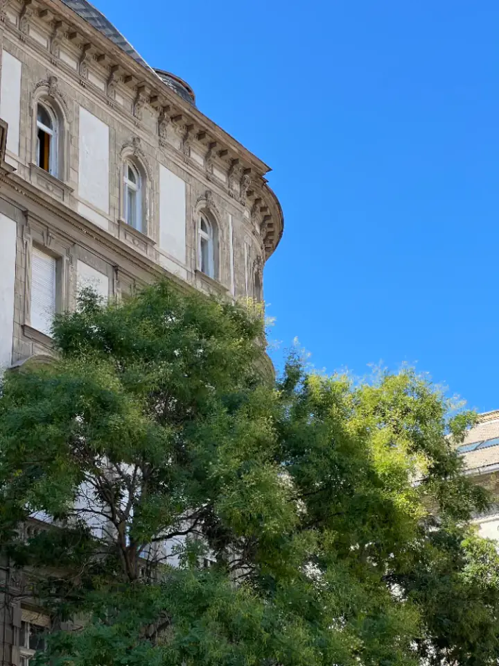 Budapešto daugiabučio fasadas virš medžių lajų